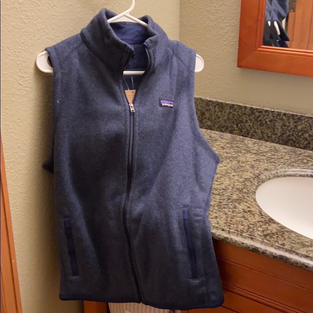 Blue Better Sweater Patagonia vest
